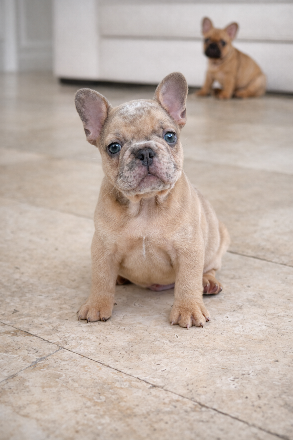 ChatGPT Image Feb 27, 2026 at 05 10 19 PM