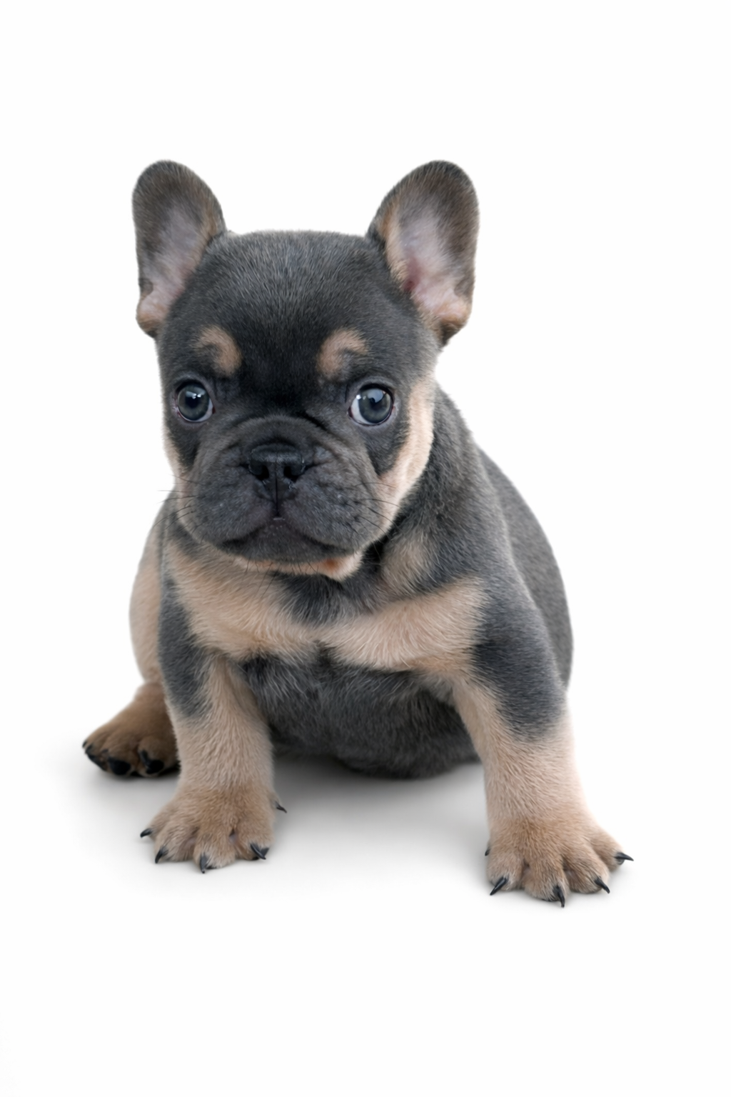 ChatGPT Image Feb 28, 2026 at 07 59 04 PM