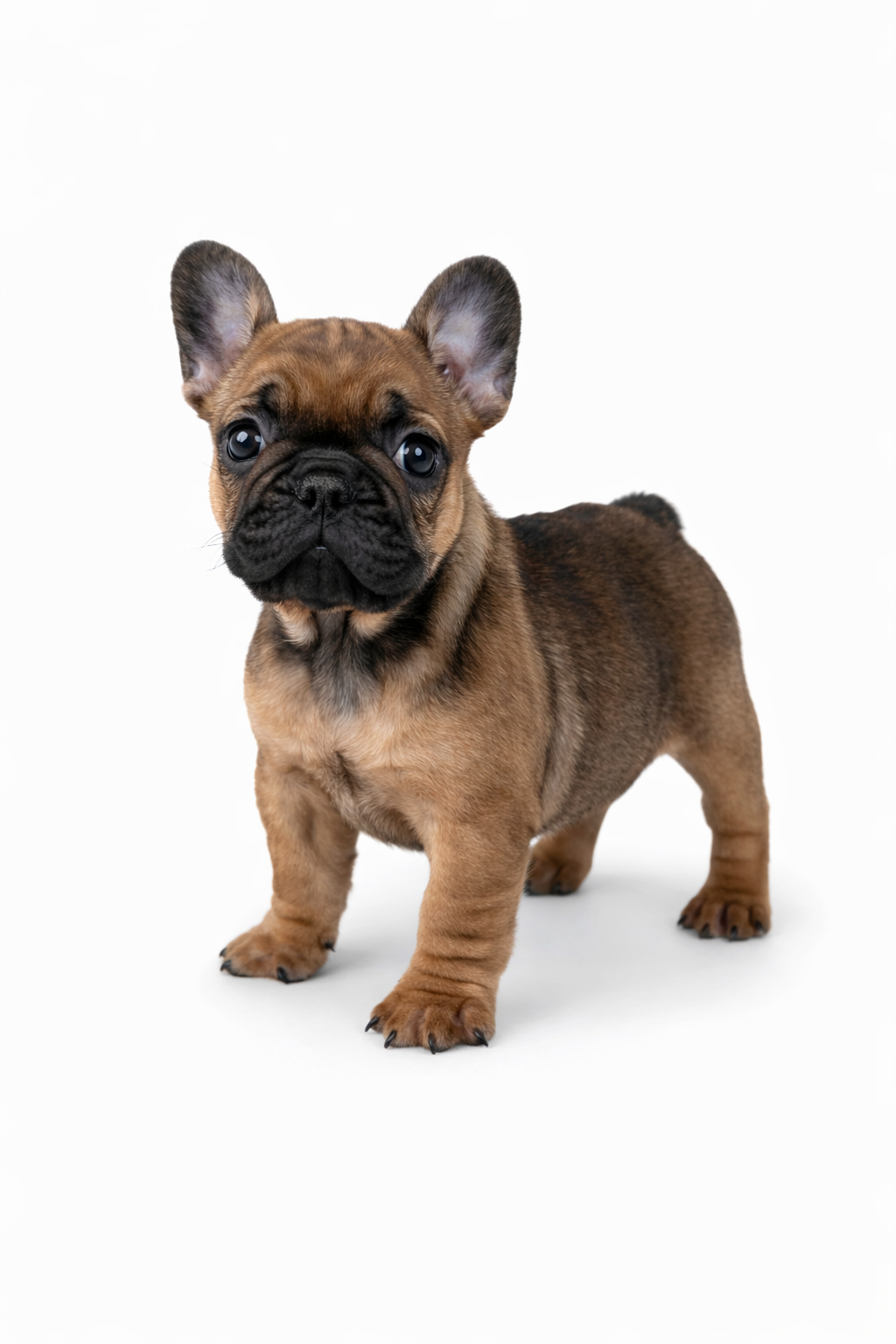 ChatGPT Image Feb 28, 2026 at 08 02 24 PM